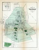 Freehold, Monmouth County 1873